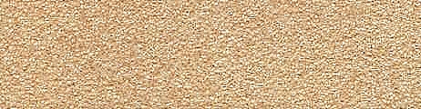 101.jpg